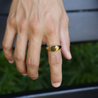 Oval singlet ring