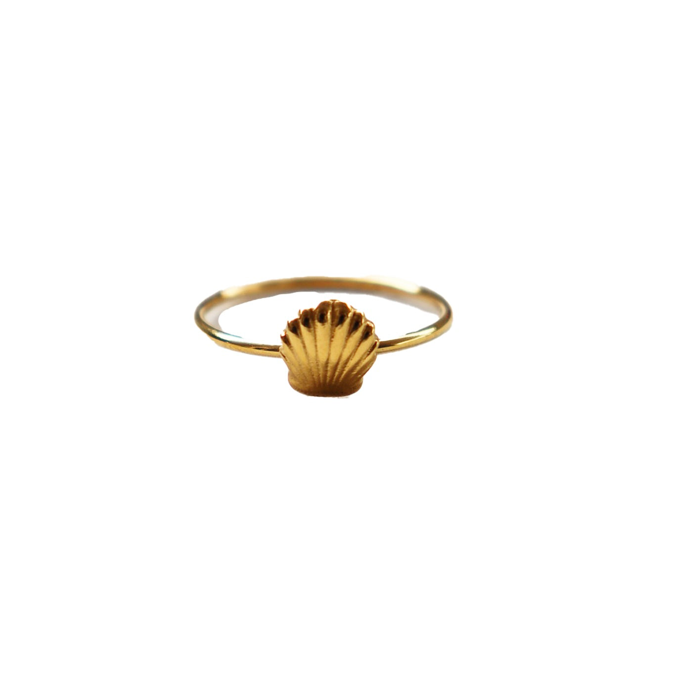 Baby shell ring