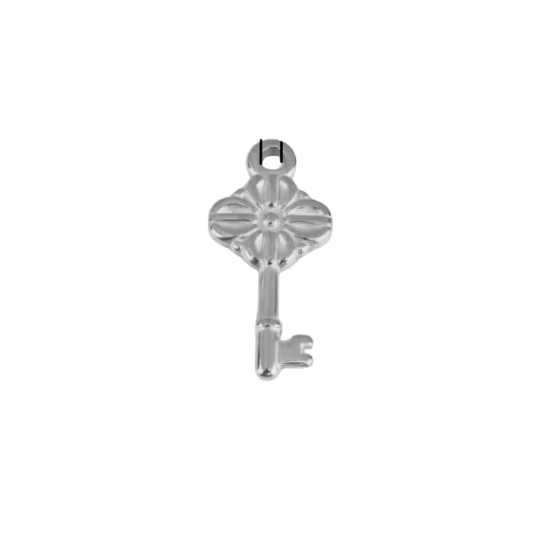 Lock and key charms