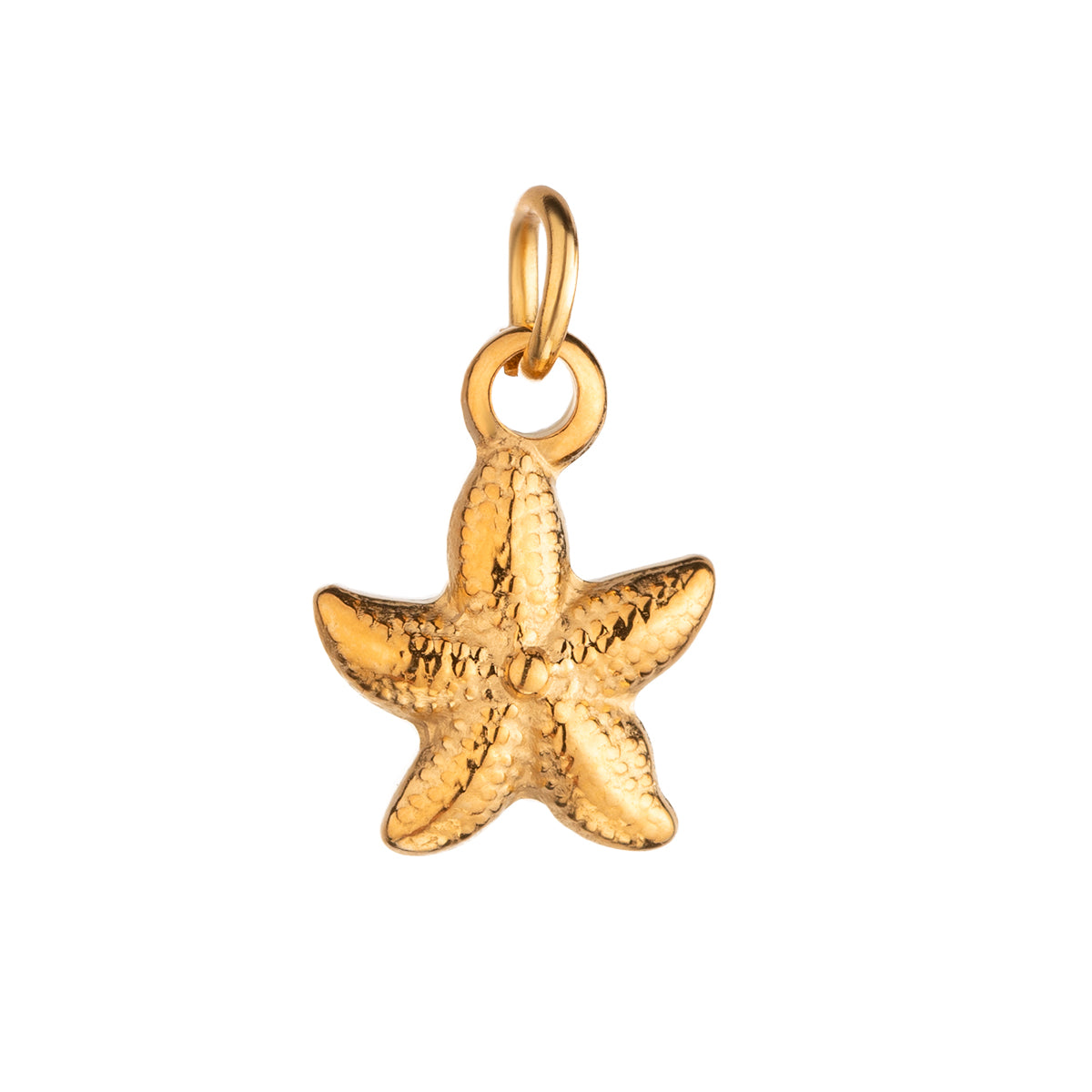 Ariel charms