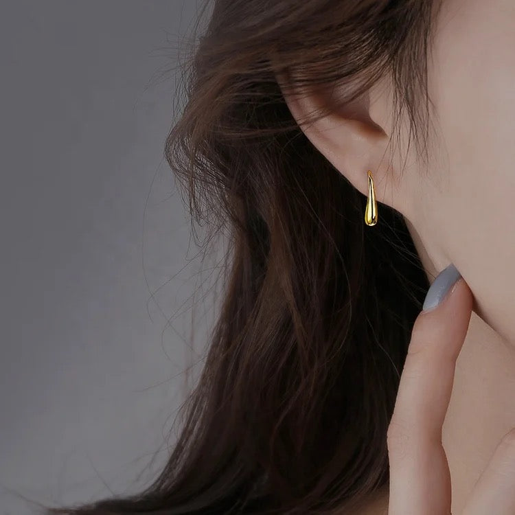 Nibble fish earrings