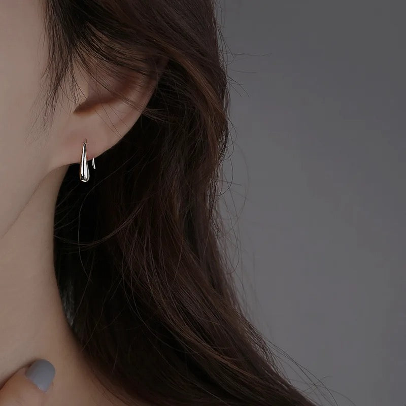 Nibble fish earrings