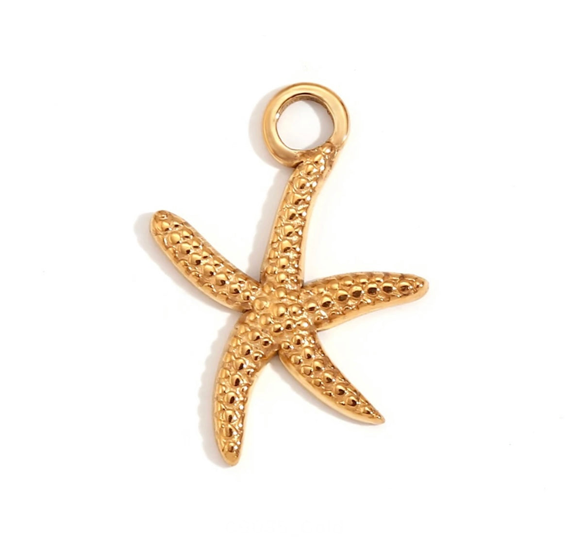 Ariel charms