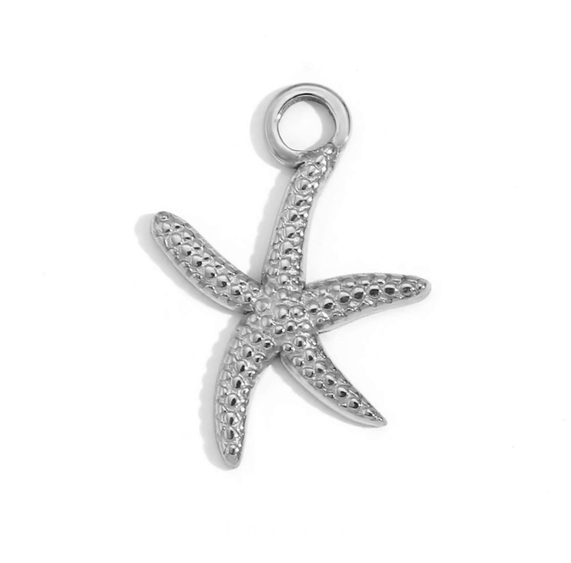 Ariel charms