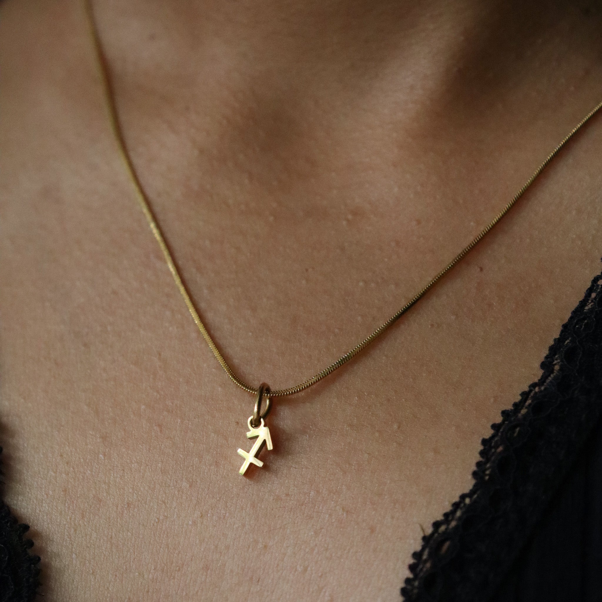 Plain zodiac charms 2.0
