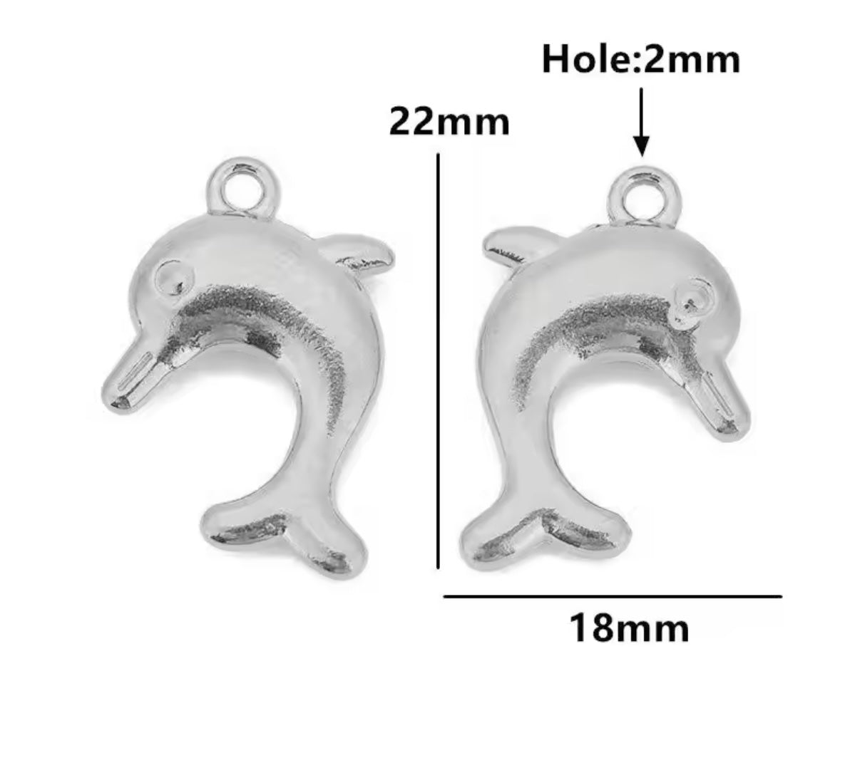 Animal kingdom charms
