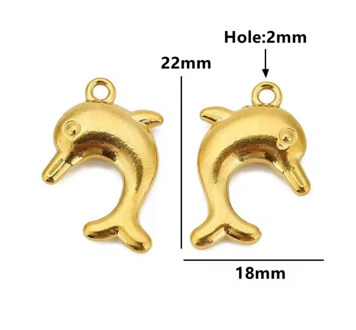 Animal kingdom charms