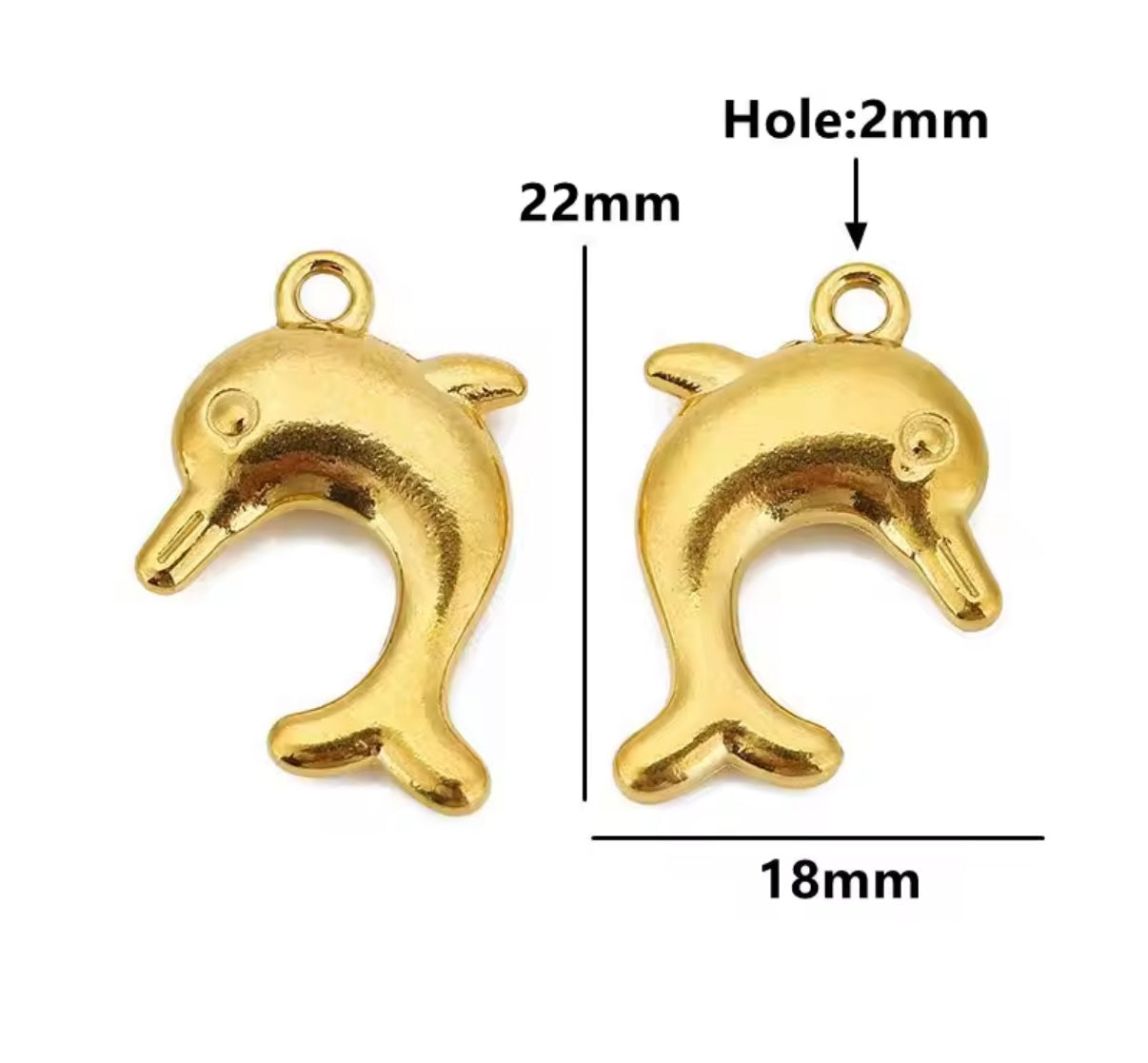 Animal kingdom charms
