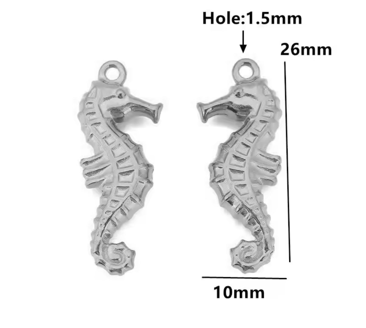 Animal kingdom charms
