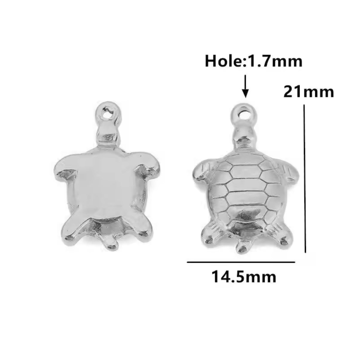 Animal kingdom charms