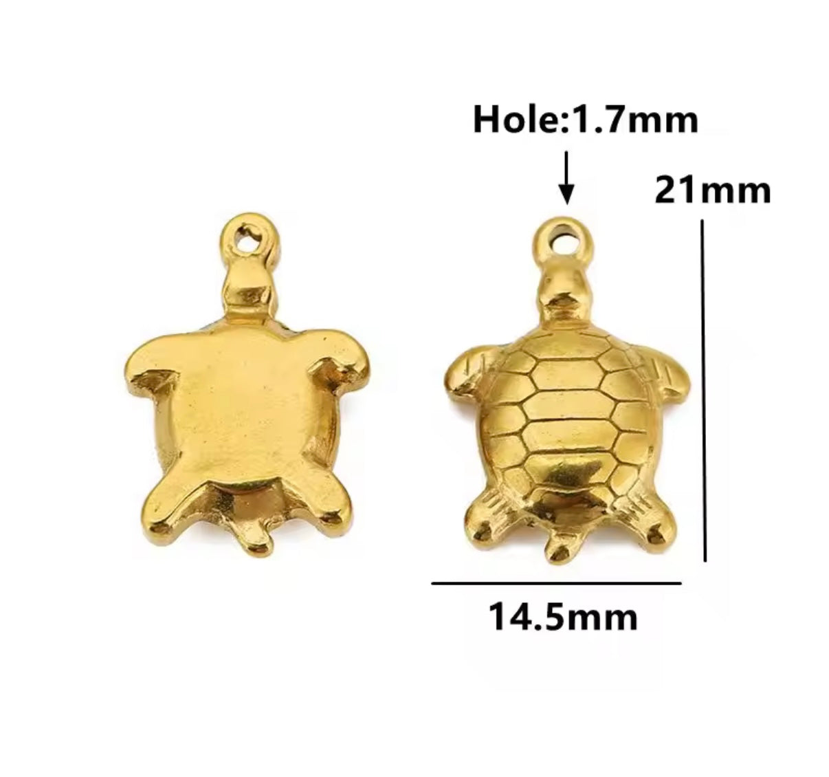 Animal kingdom charms