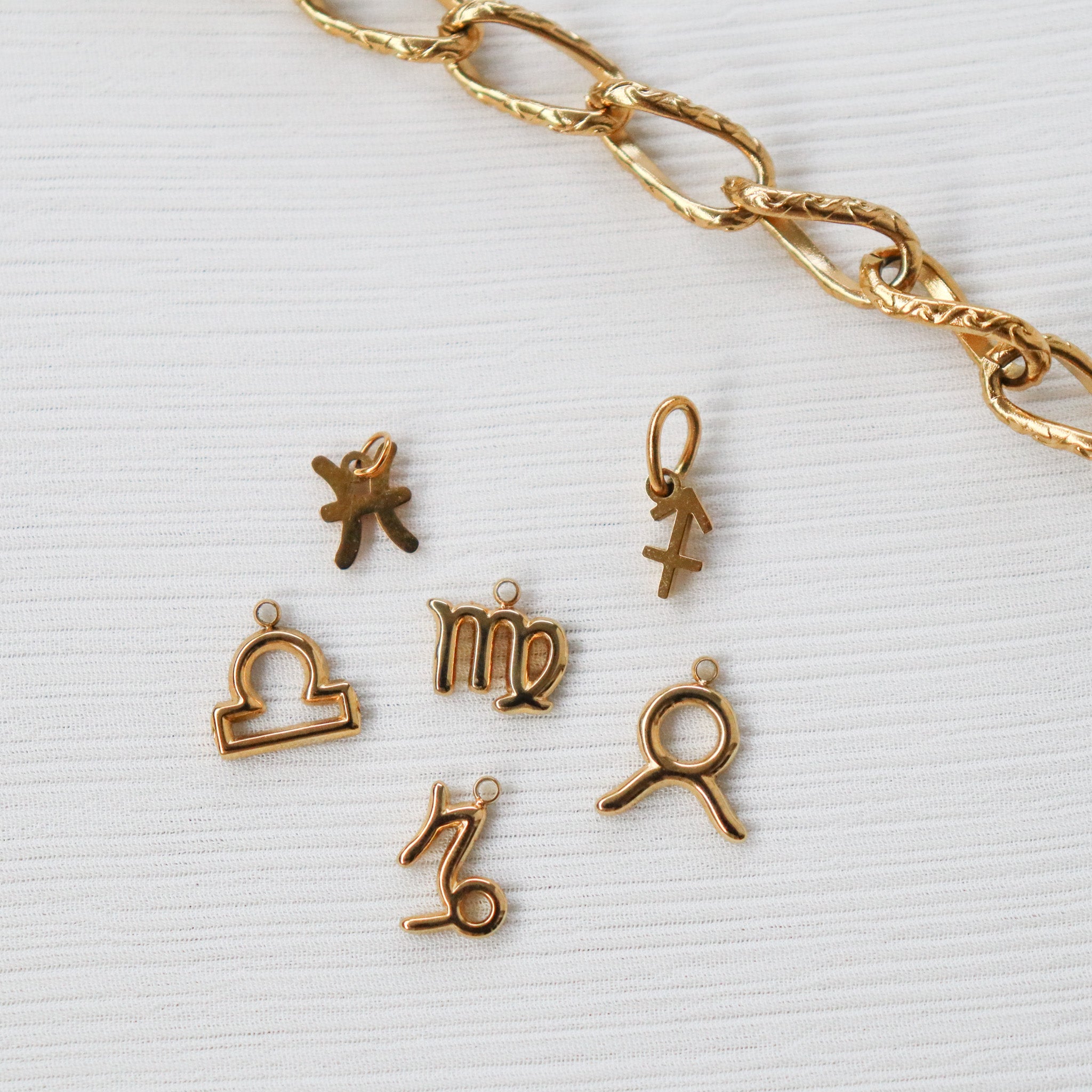 Plain zodiac charms