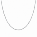 Fishbone Chain in Silver on a white background