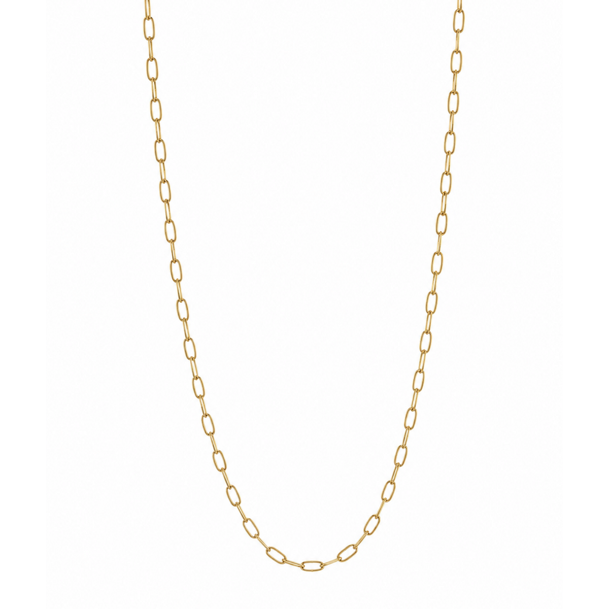Thin Link Chain in Gold on a clean white background