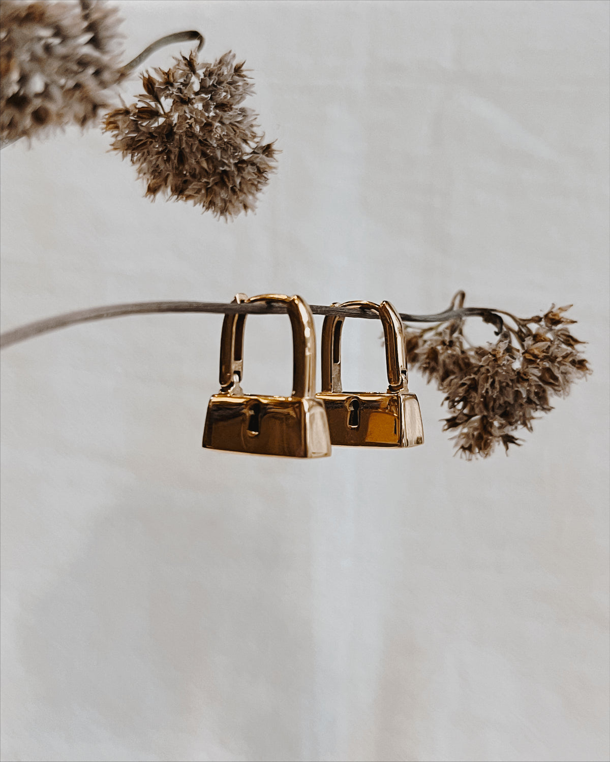 Secrets hoops