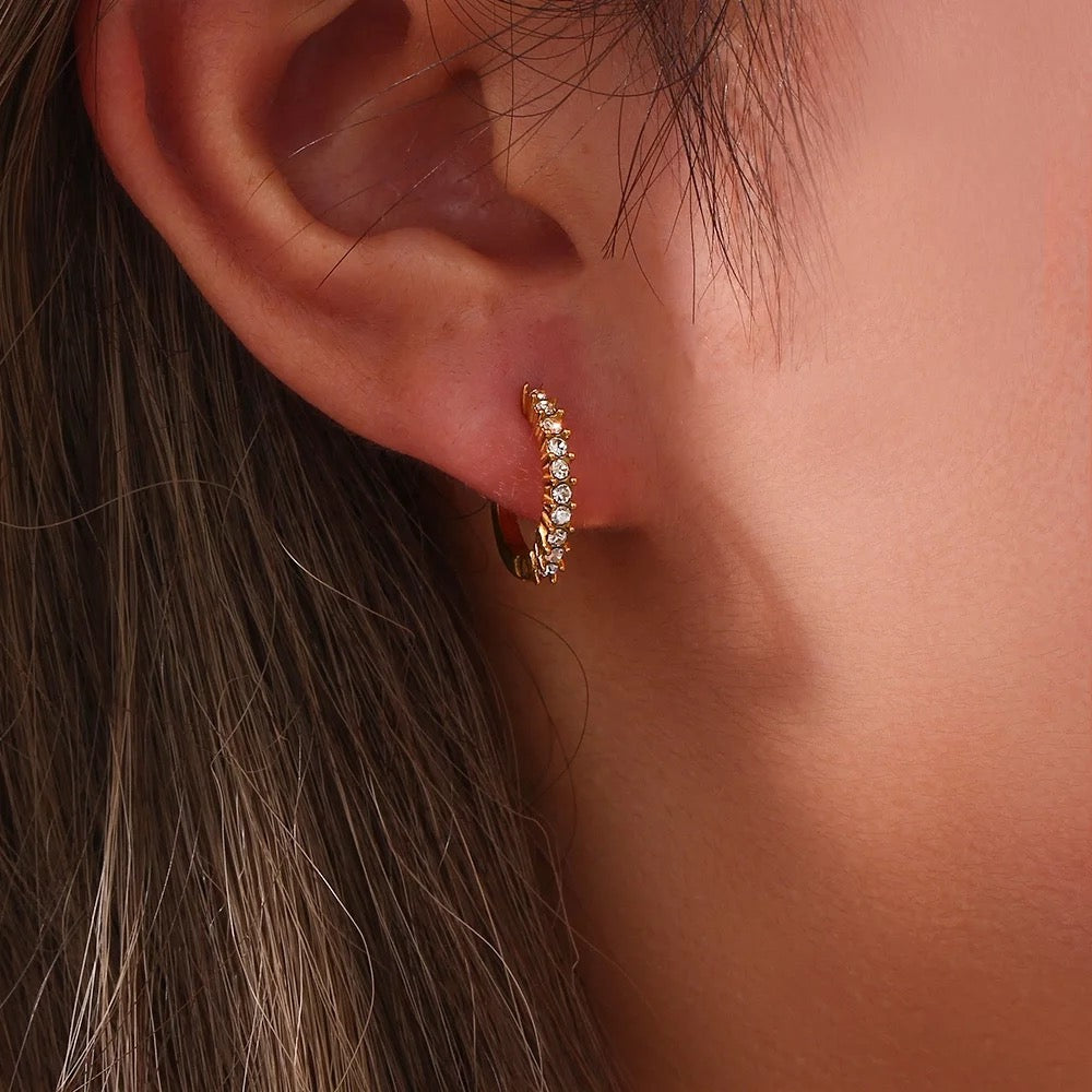 Diamond mary hoops
