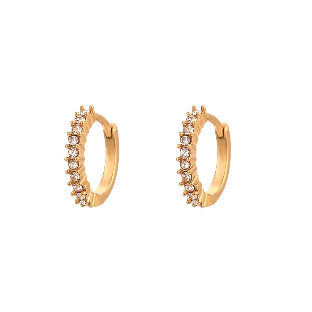 Diamond mary hoops